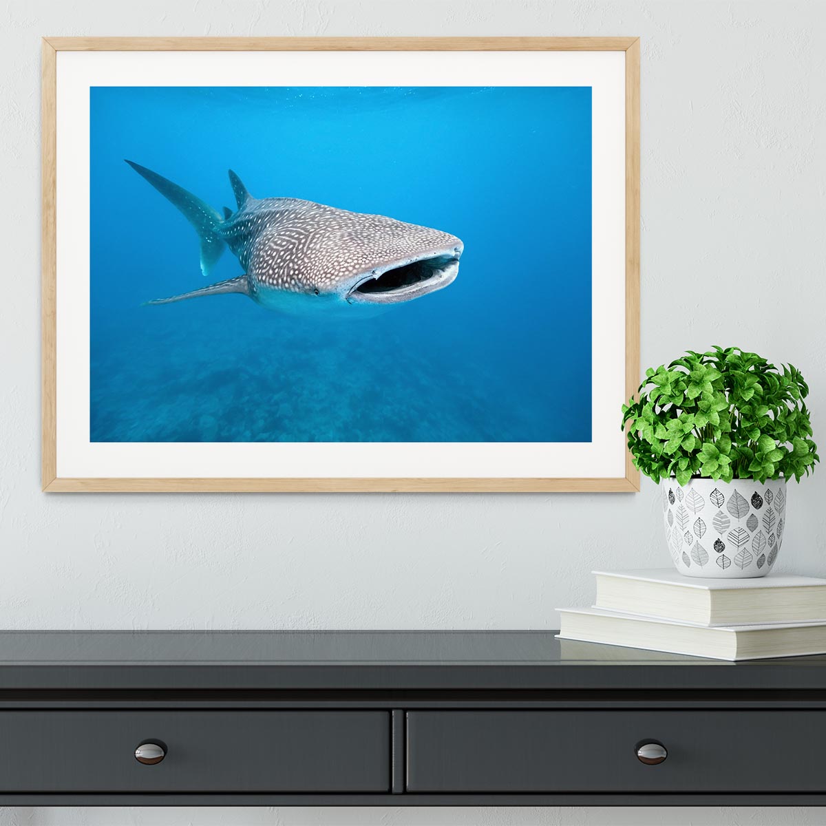 Whale shark Framed Print - Canvas Art Rocks - 3
