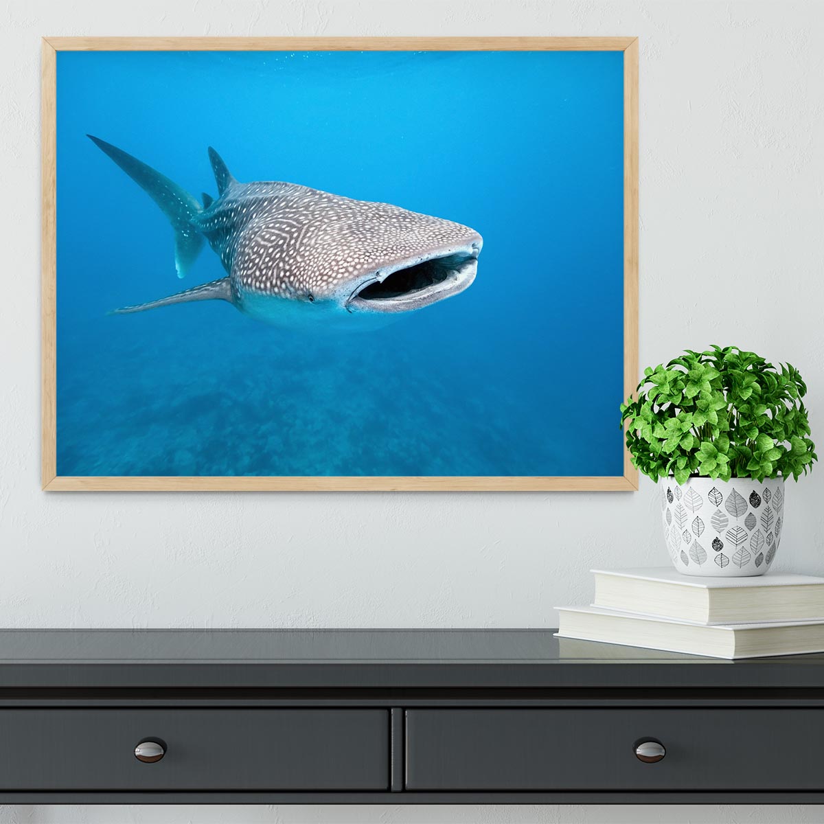 Whale shark Framed Print - Canvas Art Rocks - 4