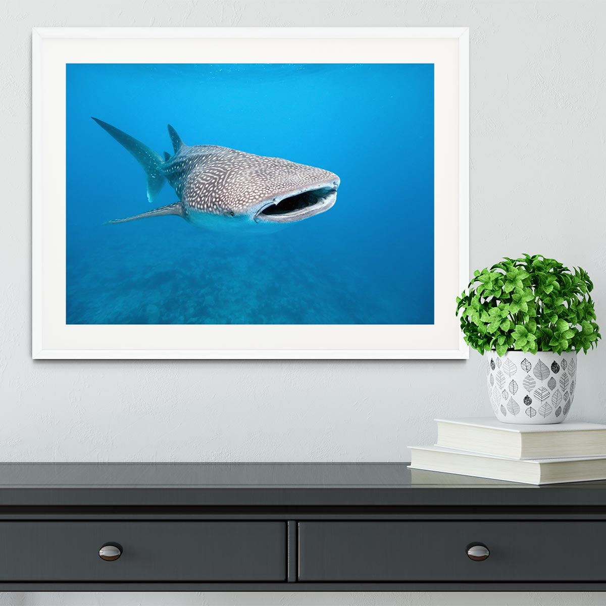 Whale shark Framed Print - Canvas Art Rocks - 5