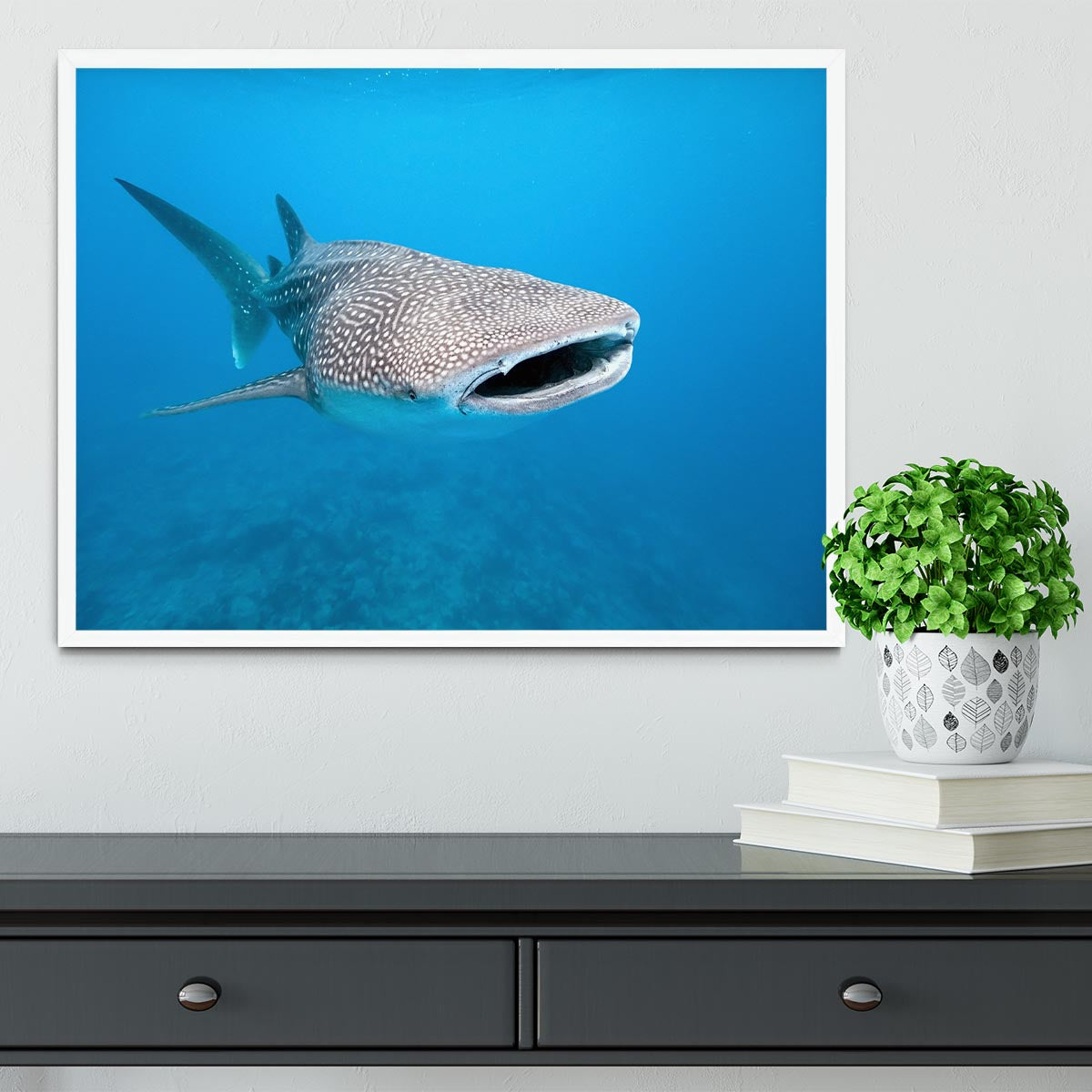 Whale shark Framed Print - Canvas Art Rocks -6
