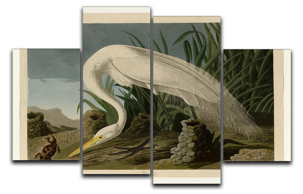 White Heron by Audubon 4 Split Panel Canvas - Canvas Art Rocks - 1