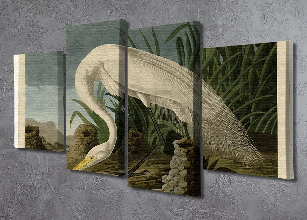 White Heron by Audubon 4 Split Panel Canvas - Canvas Art Rocks - 2