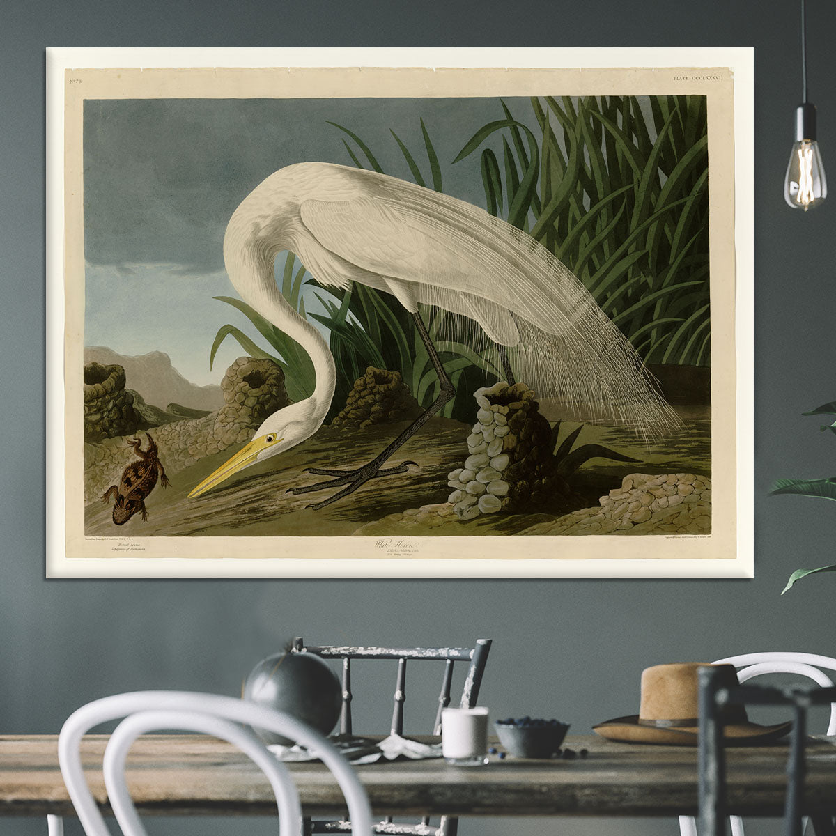 White Heron by Audubon Canvas Print or Poster - Canvas Art Rocks - 3