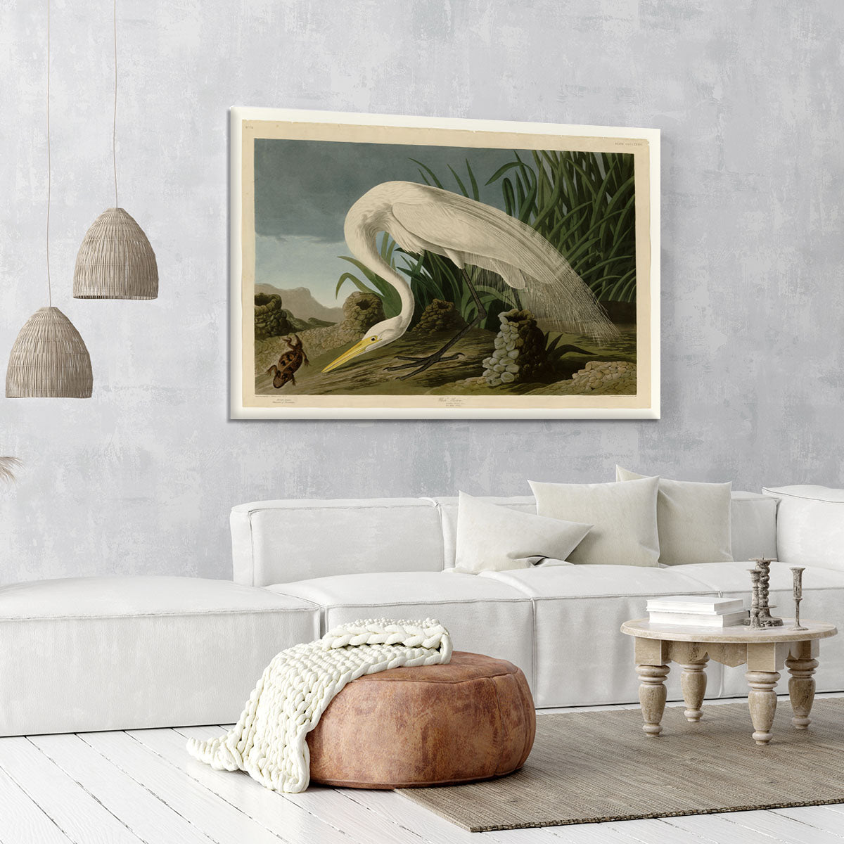 White Heron by Audubon Canvas Print or Poster - Canvas Art Rocks - 6