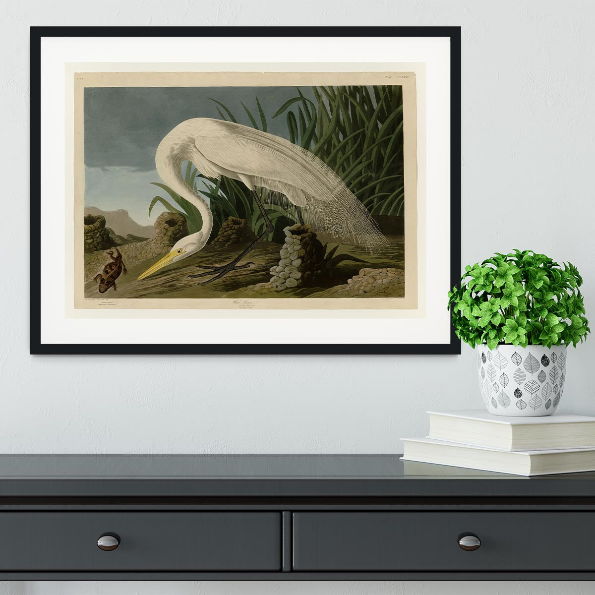 White Heron by Audubon Framed Print - Canvas Art Rocks - 1
