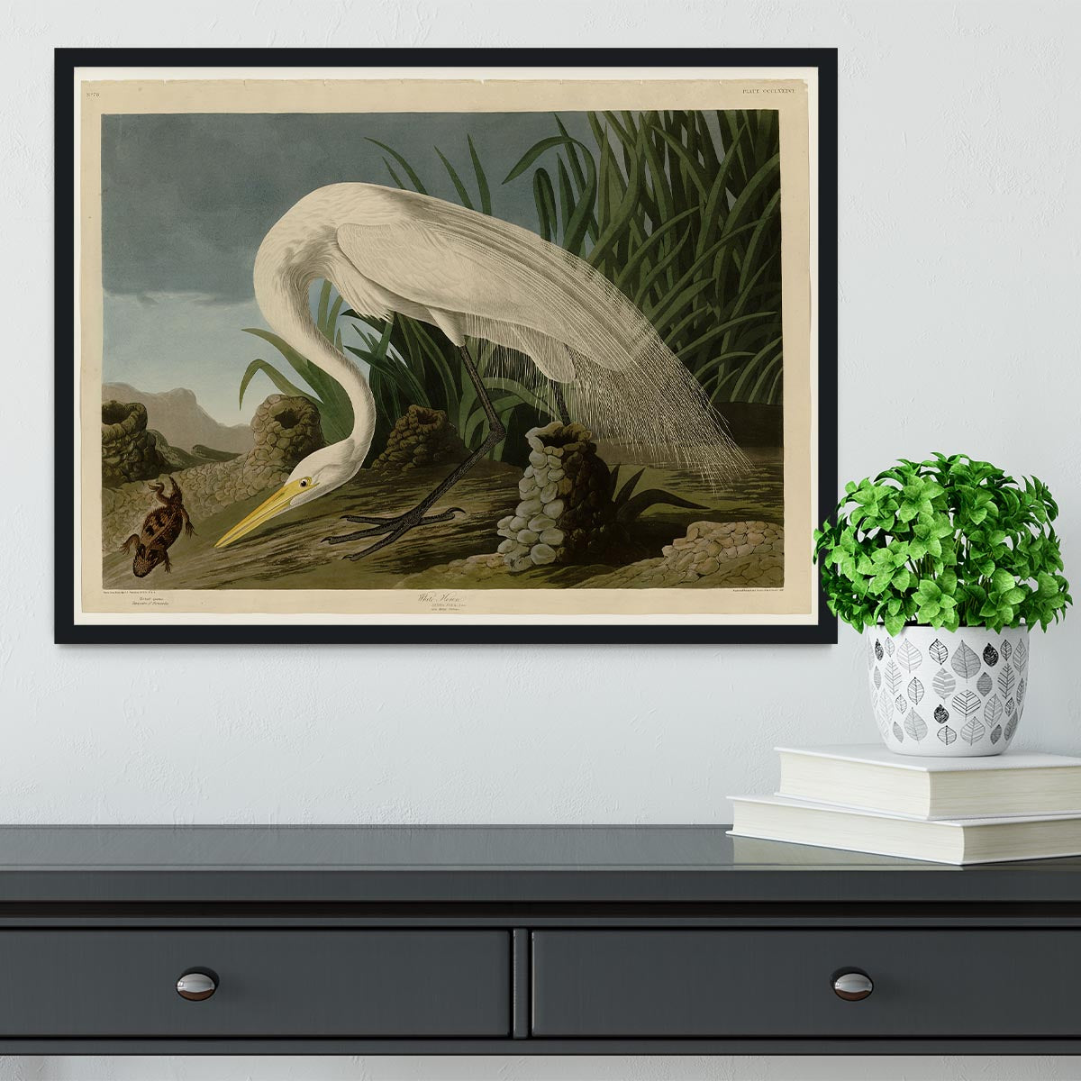 White Heron by Audubon Framed Print - Canvas Art Rocks - 2