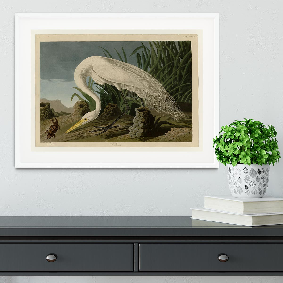 White Heron by Audubon Framed Print - Canvas Art Rocks - 5