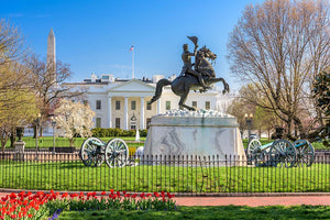 White House and Lafayette Square Wall Mural Wallpaper - Canvas Art Rocks - 1
