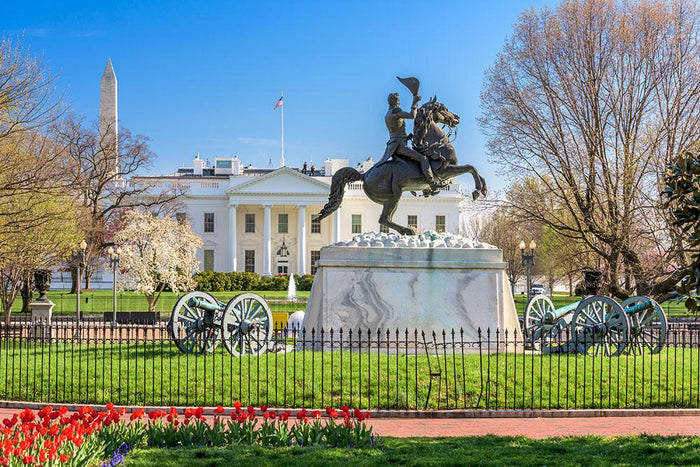 White House and Lafayette Square Wall Mural Wallpaper