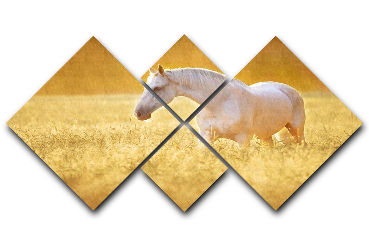 White Orlov trotter horse in rye 4 Square Multi Panel Canvas - Canvas Art Rocks - 1