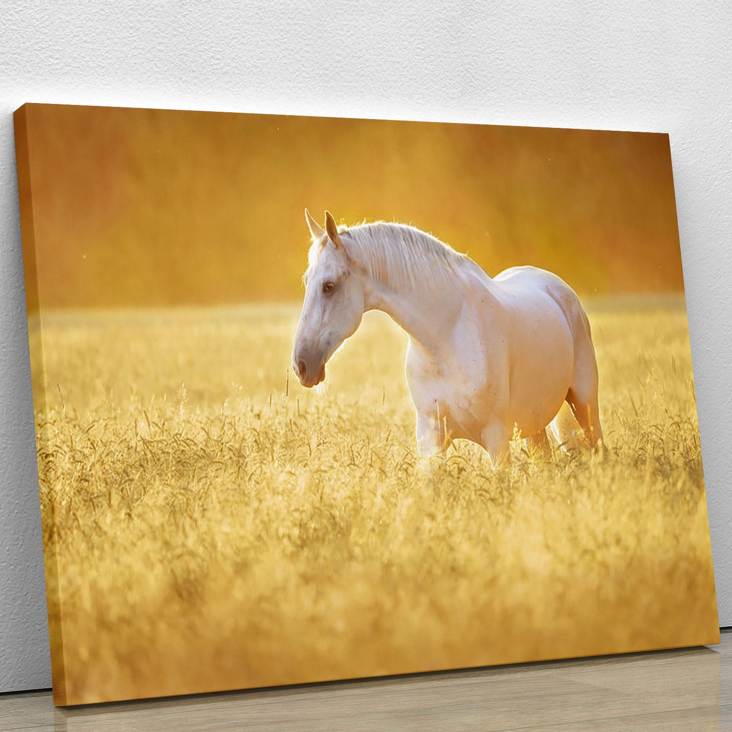 White Orlov trotter horse in rye Canvas Print or Poster - Canvas Art Rocks - 1