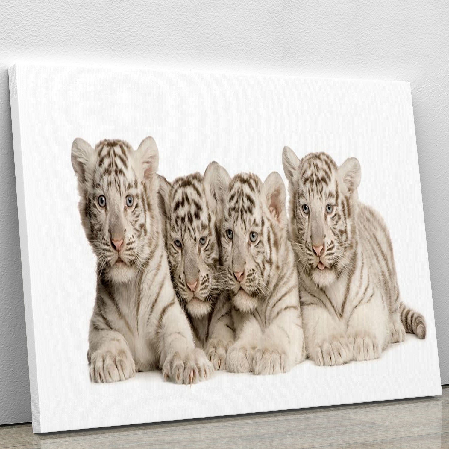 White Tiger cubs 2 months Canvas Print or Poster - Canvas Art Rocks - 1