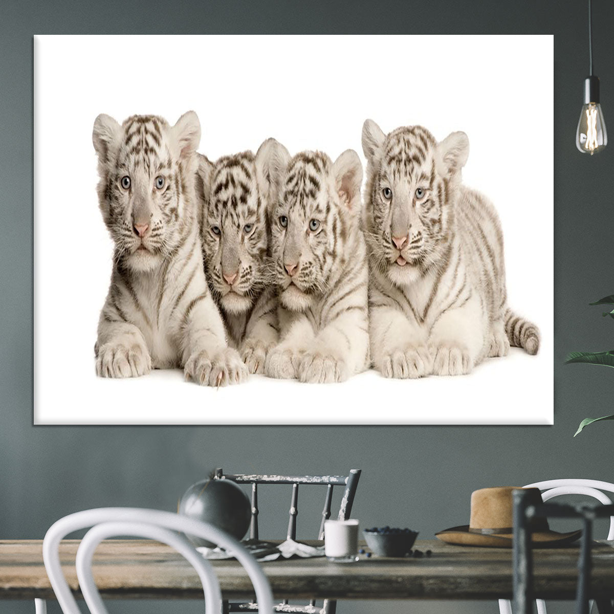 White Tiger cubs 2 months Canvas Print or Poster - Canvas Art Rocks - 3