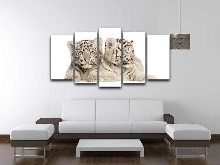 White Tiger cubs 5 Split Panel Canvas - Canvas Art Rocks - 3