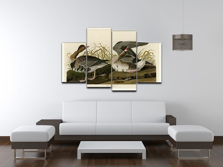 White fronted Goose by Audubon 4 Split Panel Canvas - Canvas Art Rocks - 3