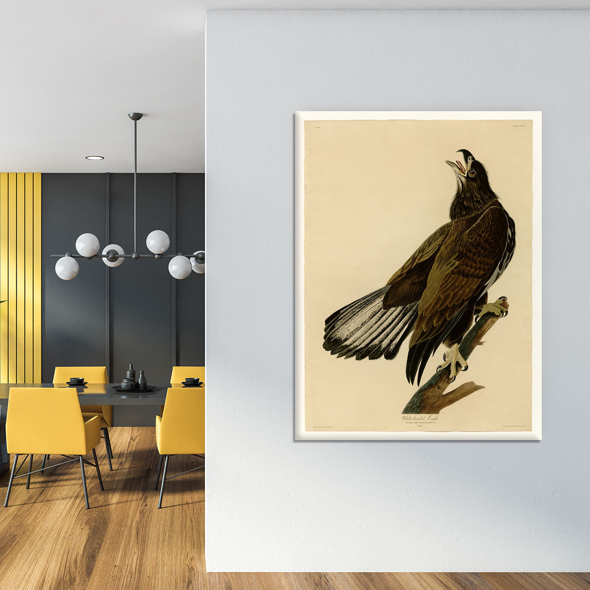 White headed Eagle 2 by Audubon Canvas Print or Poster - Canvas Art Rocks - 4
