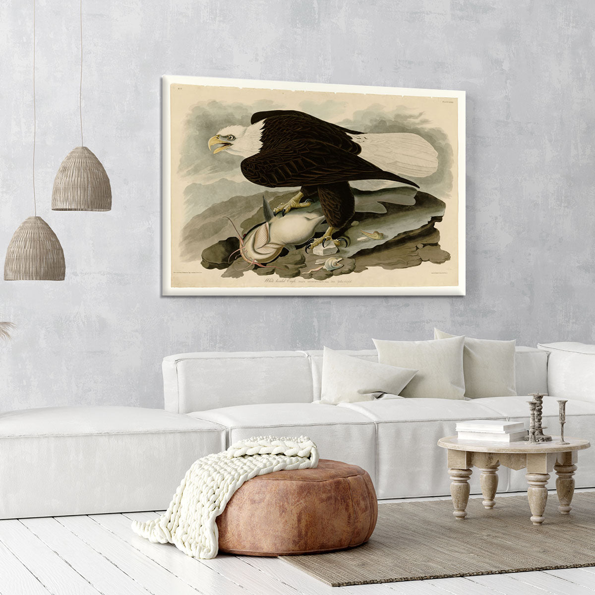 White headed Eagle by Audubon Canvas Print or Poster - Canvas Art Rocks - 6