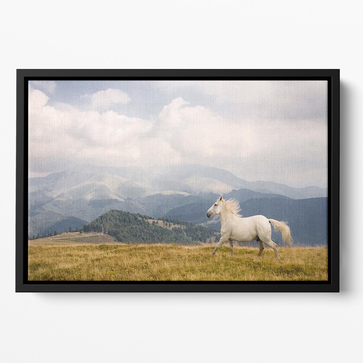 White horse Floating Framed Canvas - Canvas Art Rocks - 2