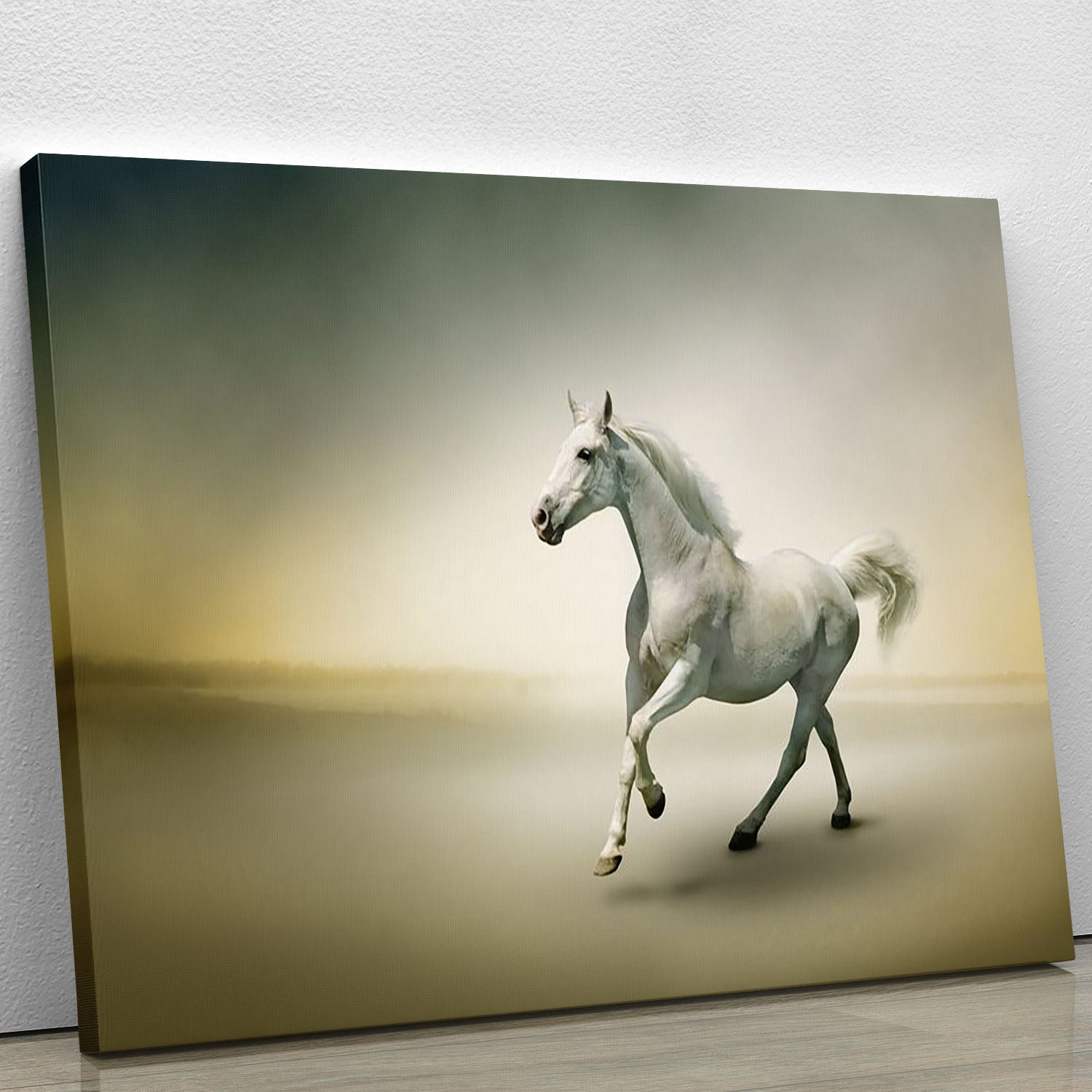 White horse in motion Canvas Print or Poster - Canvas Art Rocks - 1