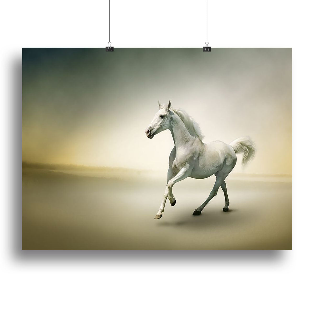 White horse in motion Canvas Print or Poster - Canvas Art Rocks - 2