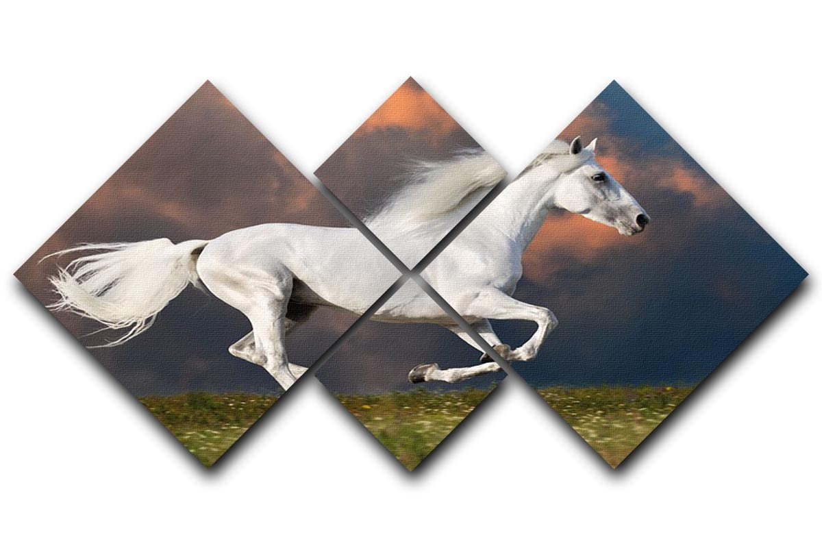 White horse runs gallop on the dark sky 4 Square Multi Panel Canvas - Canvas Art Rocks - 1