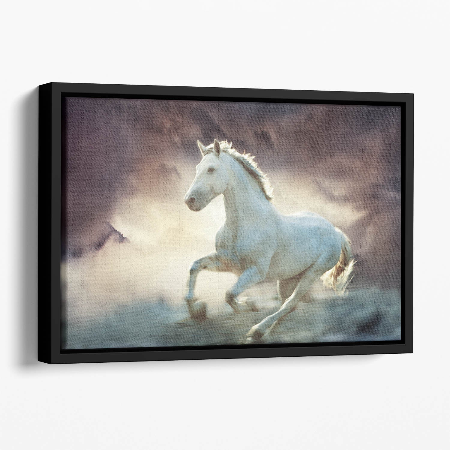 White running horse Floating Framed Canvas