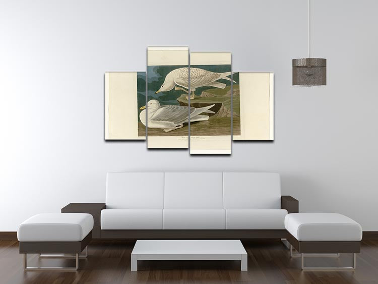 White winged silvery Gull by Audubon 4 Split Panel Canvas - Canvas Art Rocks - 3