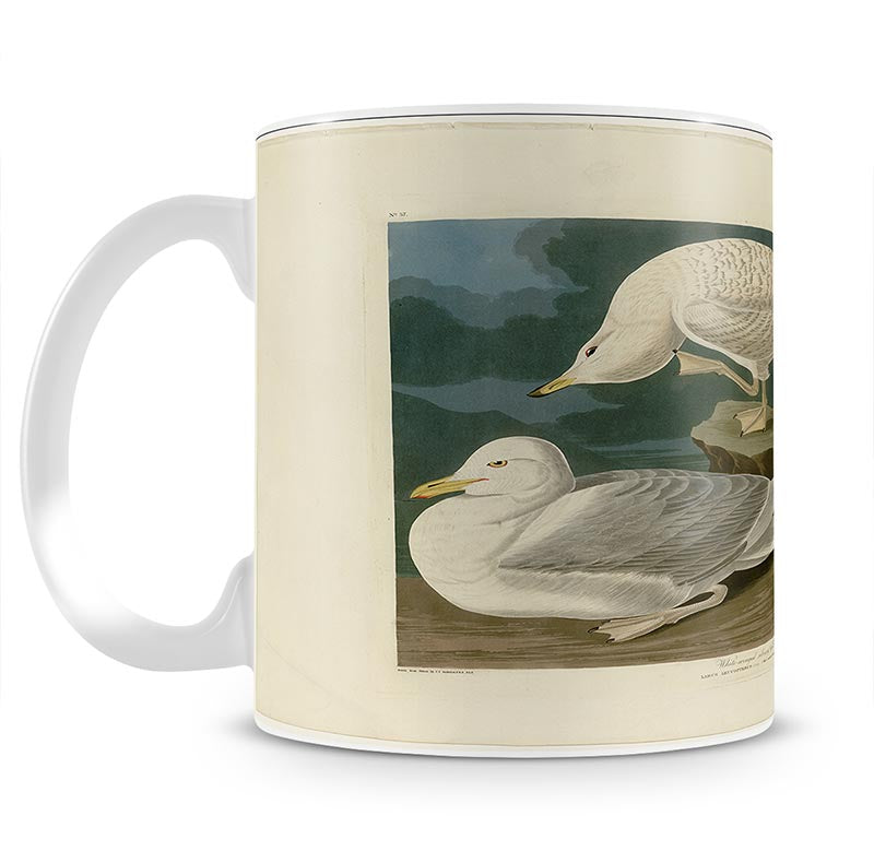 White winged silvery Gull by Audubon Mug - Canvas Art Rocks - 1