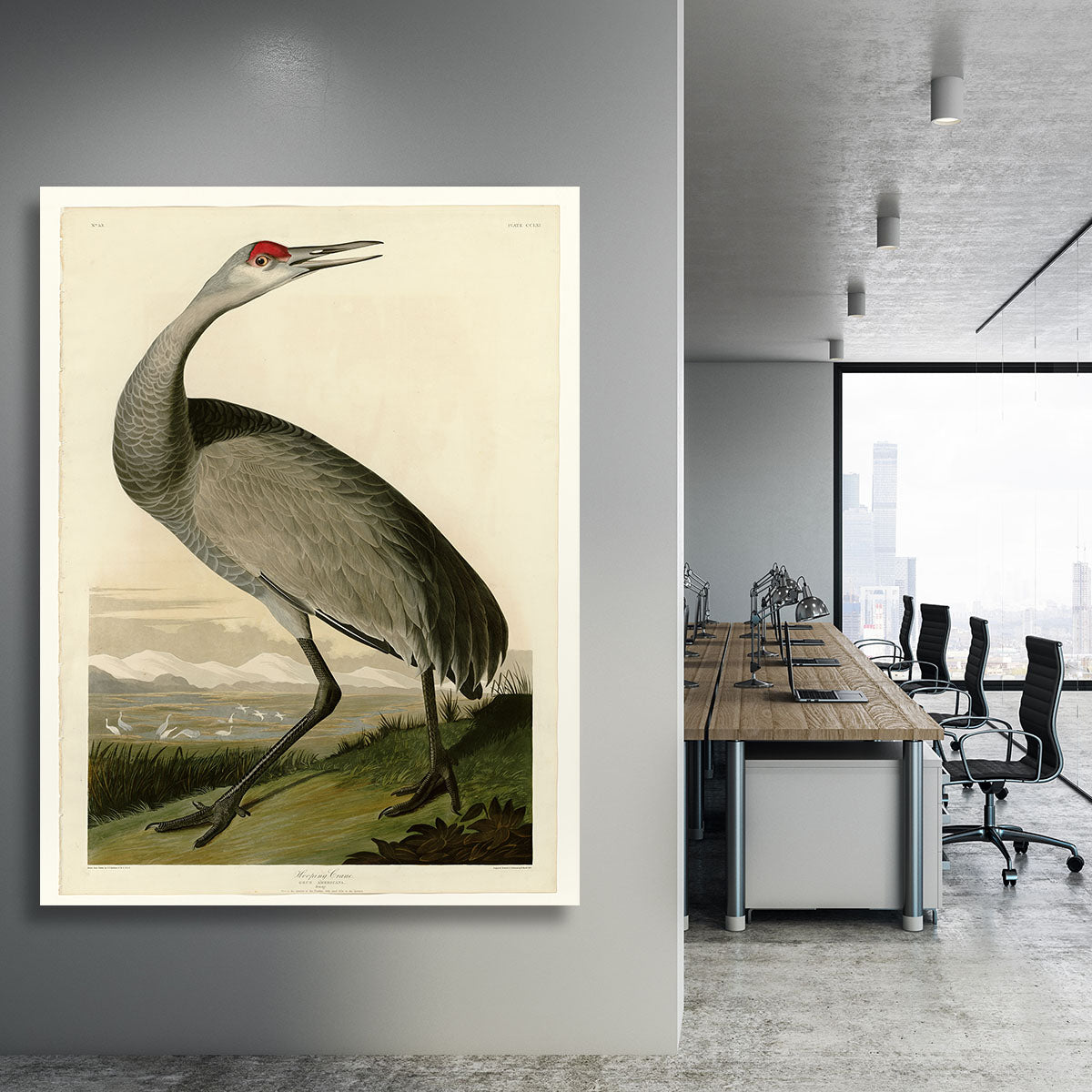 Whooping Crane by Audubon Canvas Print or Poster - Canvas Art Rocks - 3