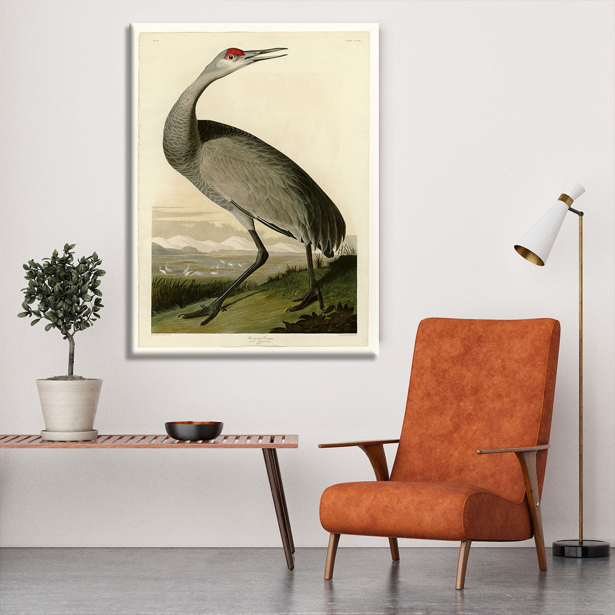 Whooping Crane by Audubon Canvas Print or Poster - Canvas Art Rocks - 6