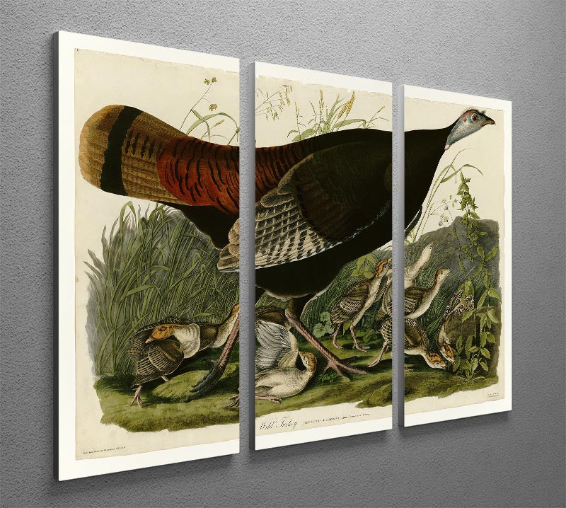 Wild Turkey 2 by Audubon 3 Split Panel Canvas Print - Canvas Art Rocks - 2