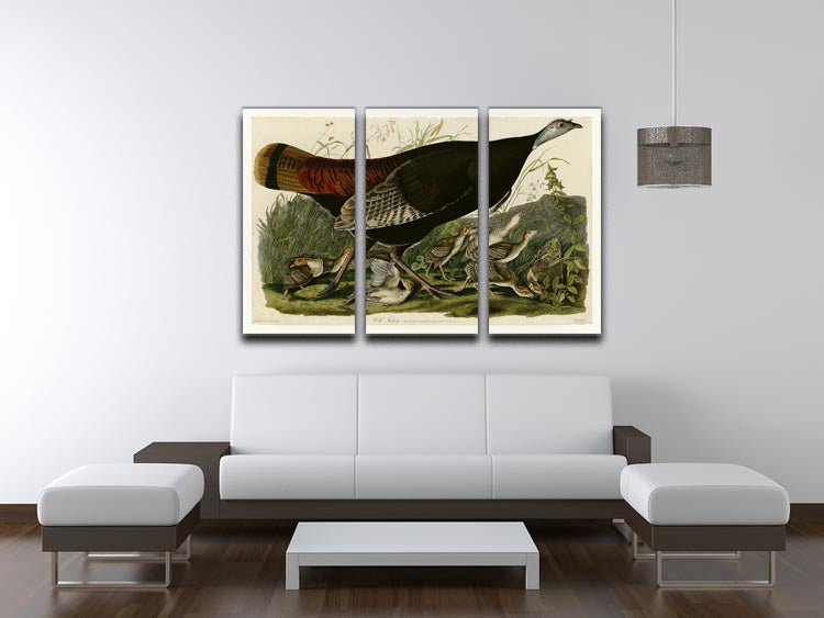 Wild Turkey 2 by Audubon 3 Split Panel Canvas Print - Canvas Art Rocks - 3