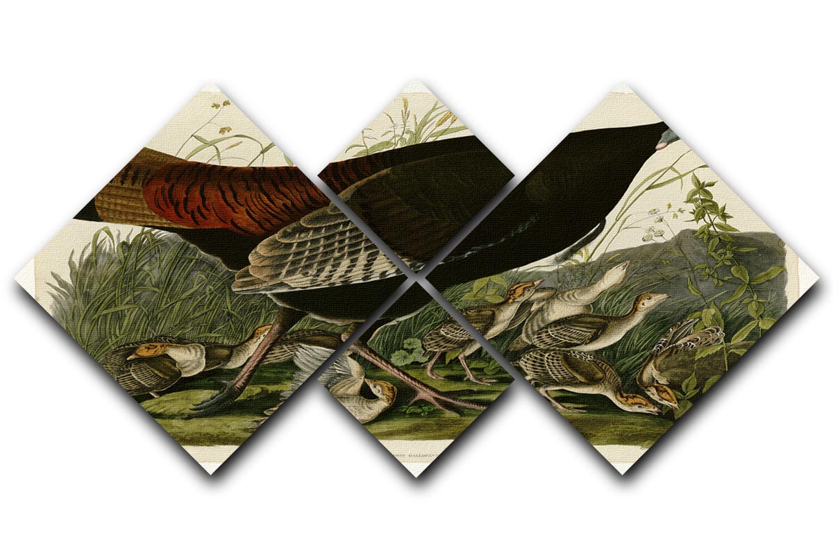 Wild Turkey 2 by Audubon 4 Square Multi Panel Canvas - Canvas Art Rocks - 1
