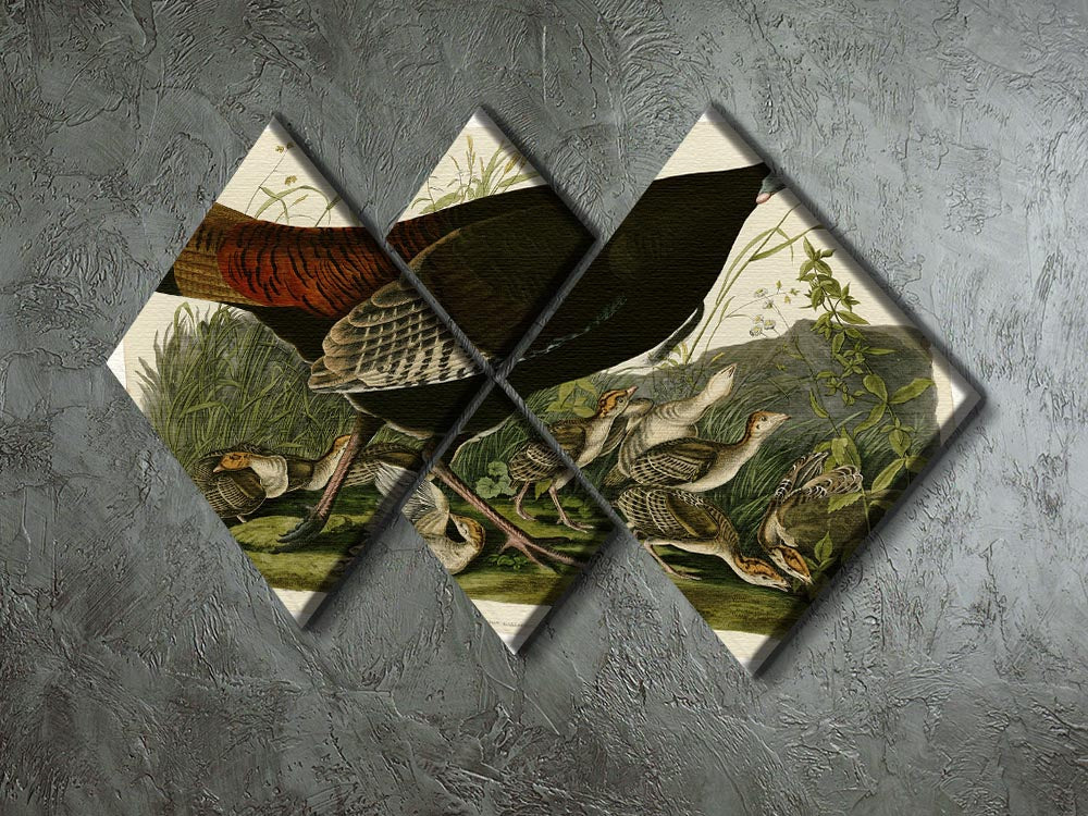 Wild Turkey 2 by Audubon 4 Square Multi Panel Canvas - Canvas Art Rocks - 2