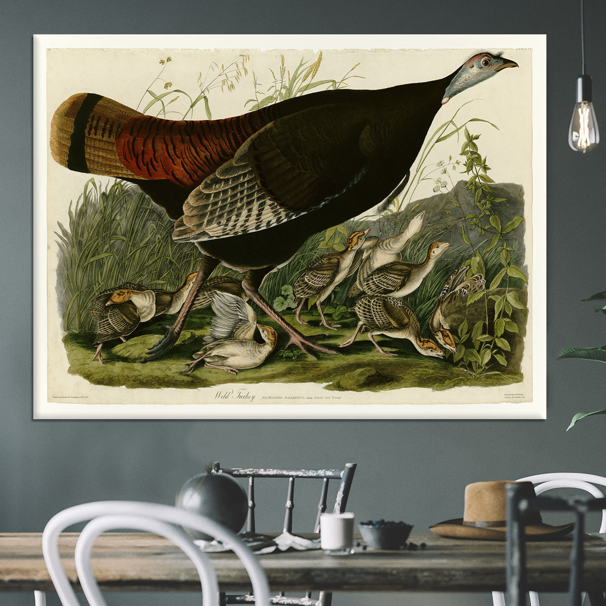 Wild Turkey 2 by Audubon Canvas Print or Poster - Canvas Art Rocks - 3