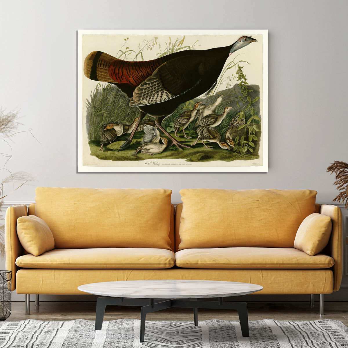 Wild Turkey 2 by Audubon Canvas Print or Poster - Canvas Art Rocks - 4