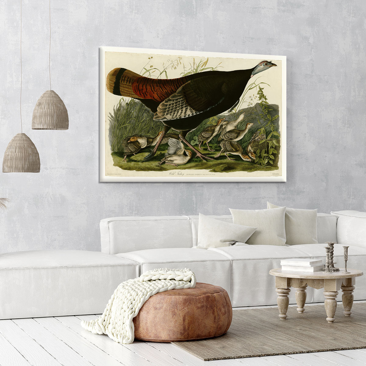 Wild Turkey 2 by Audubon Canvas Print or Poster - Canvas Art Rocks - 6