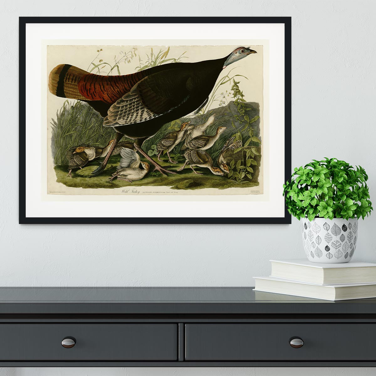 Wild Turkey 2 by Audubon Framed Print - Canvas Art Rocks - 1