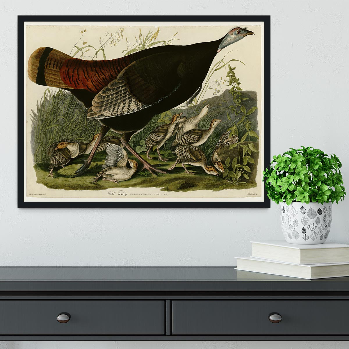 Wild Turkey 2 by Audubon Framed Print - Canvas Art Rocks - 2