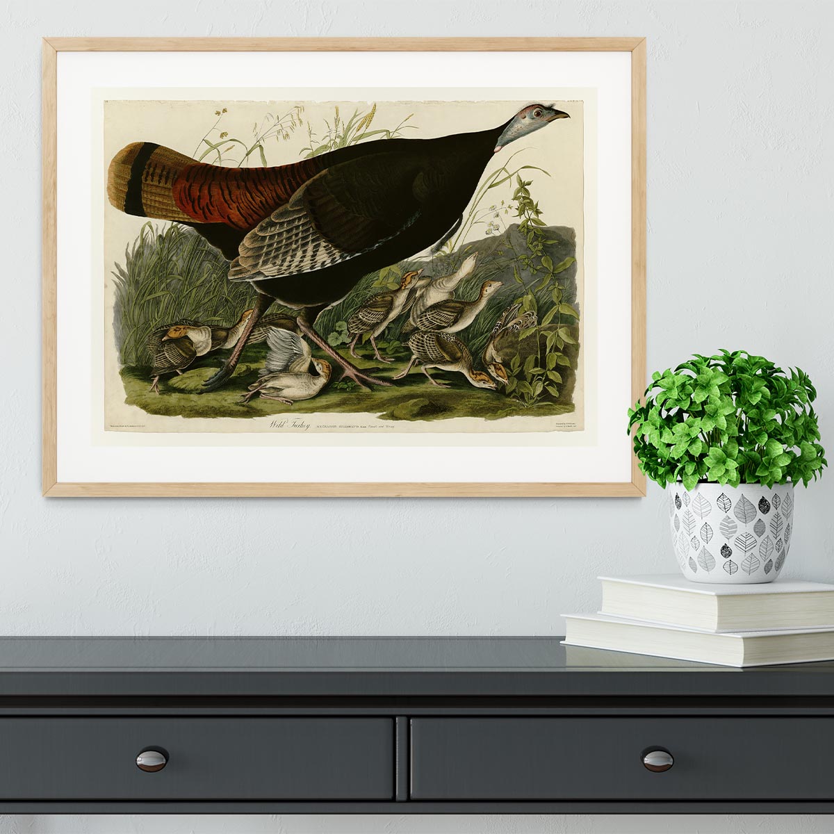 Wild Turkey 2 by Audubon Framed Print - Canvas Art Rocks - 3