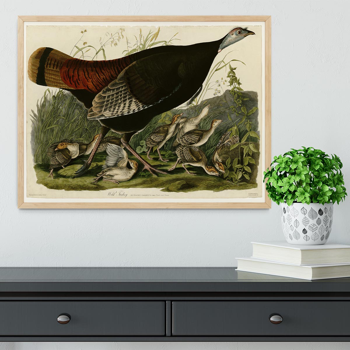 Wild Turkey 2 by Audubon Framed Print - Canvas Art Rocks - 4
