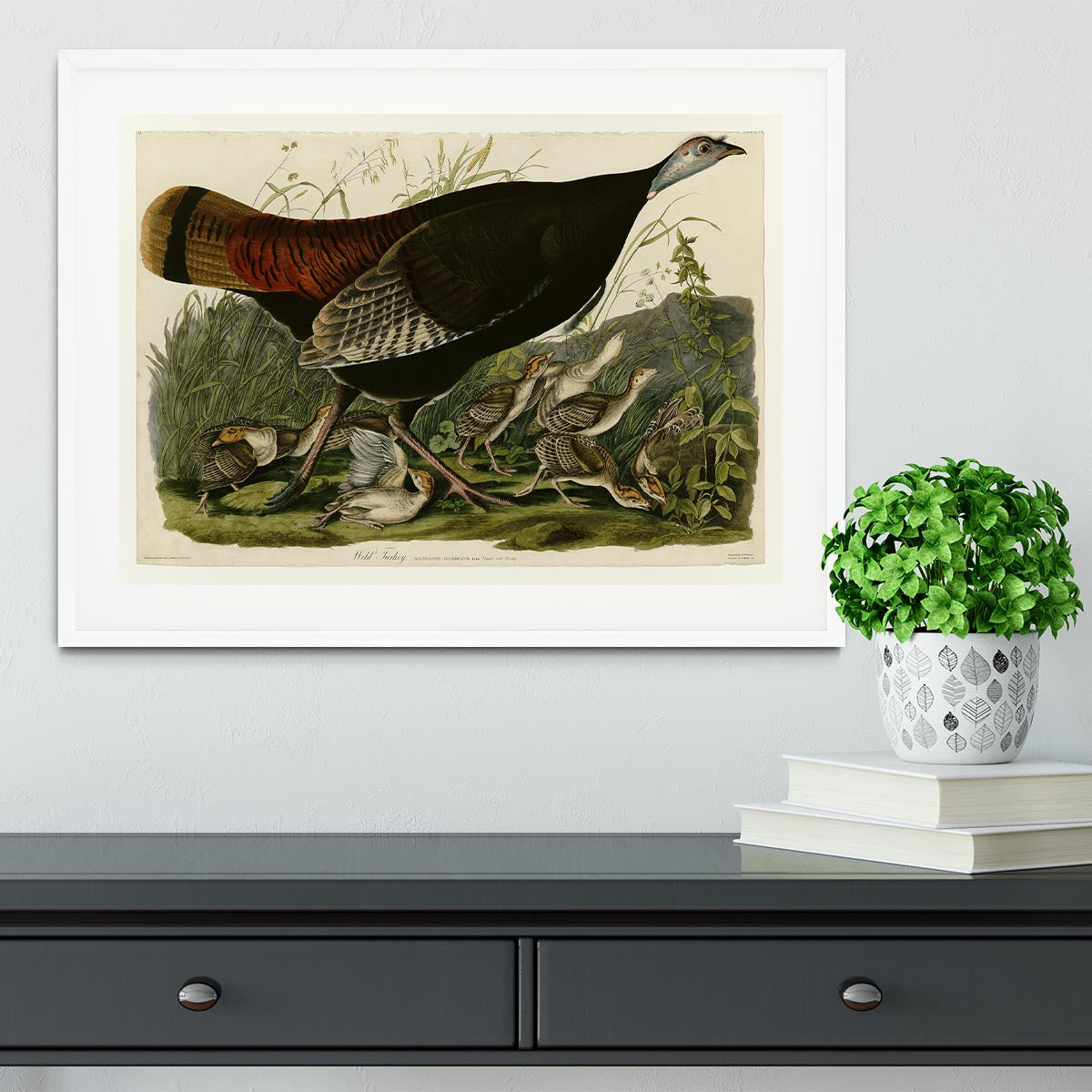 Wild Turkey 2 by Audubon Framed Print - Canvas Art Rocks - 5