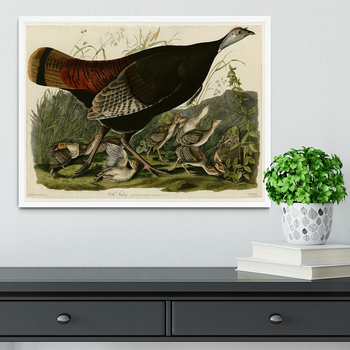 Wild Turkey 2 by Audubon Framed Print - Canvas Art Rocks -6