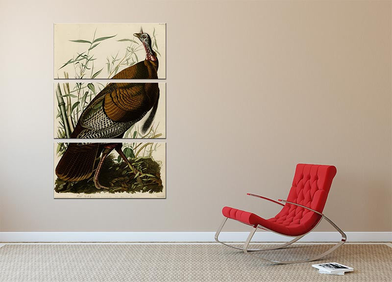 Wild Turkey by Audubon 3 Split Panel Canvas Print - Canvas Art Rocks - 2