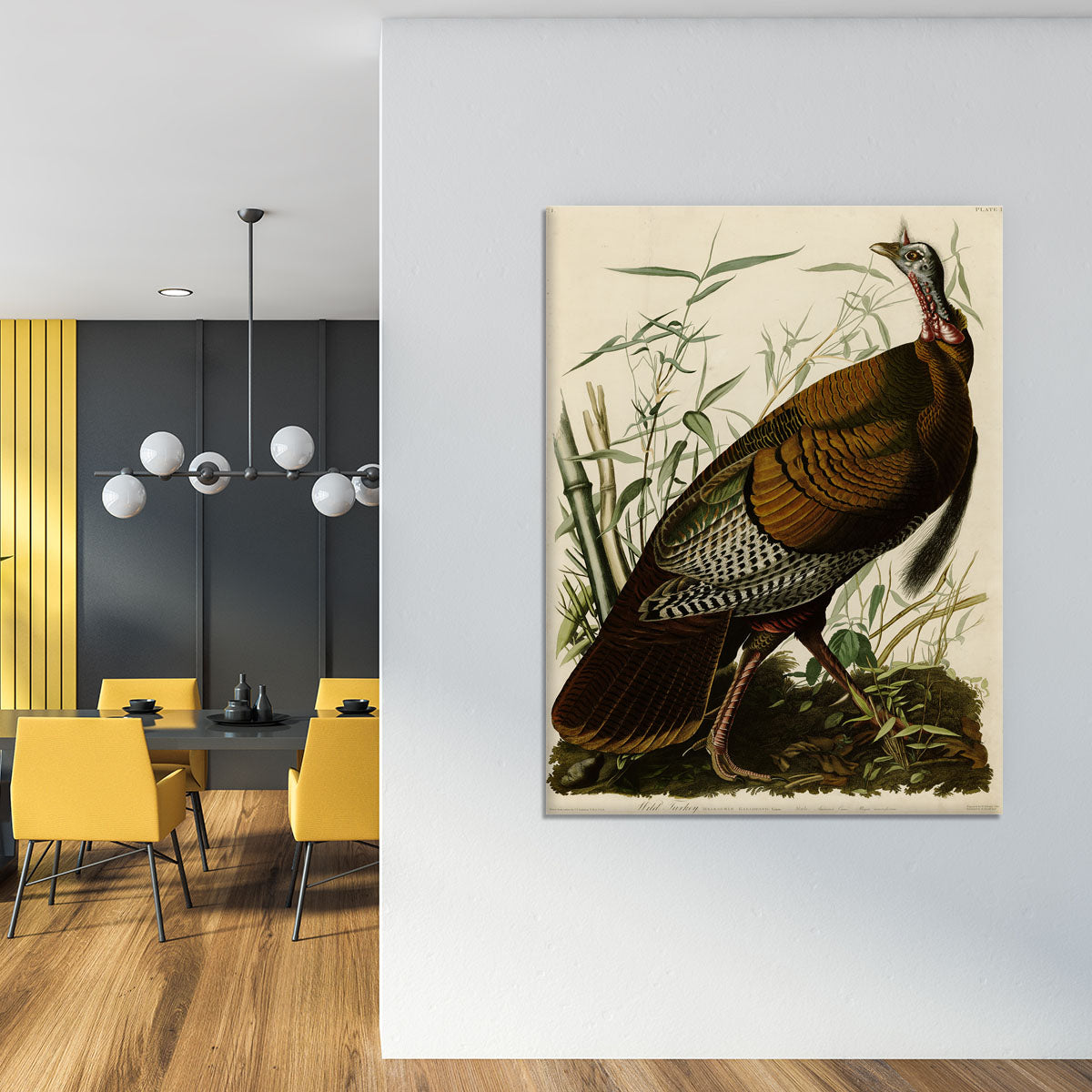Wild Turkey by Audubon Canvas Print or Poster - Canvas Art Rocks - 4