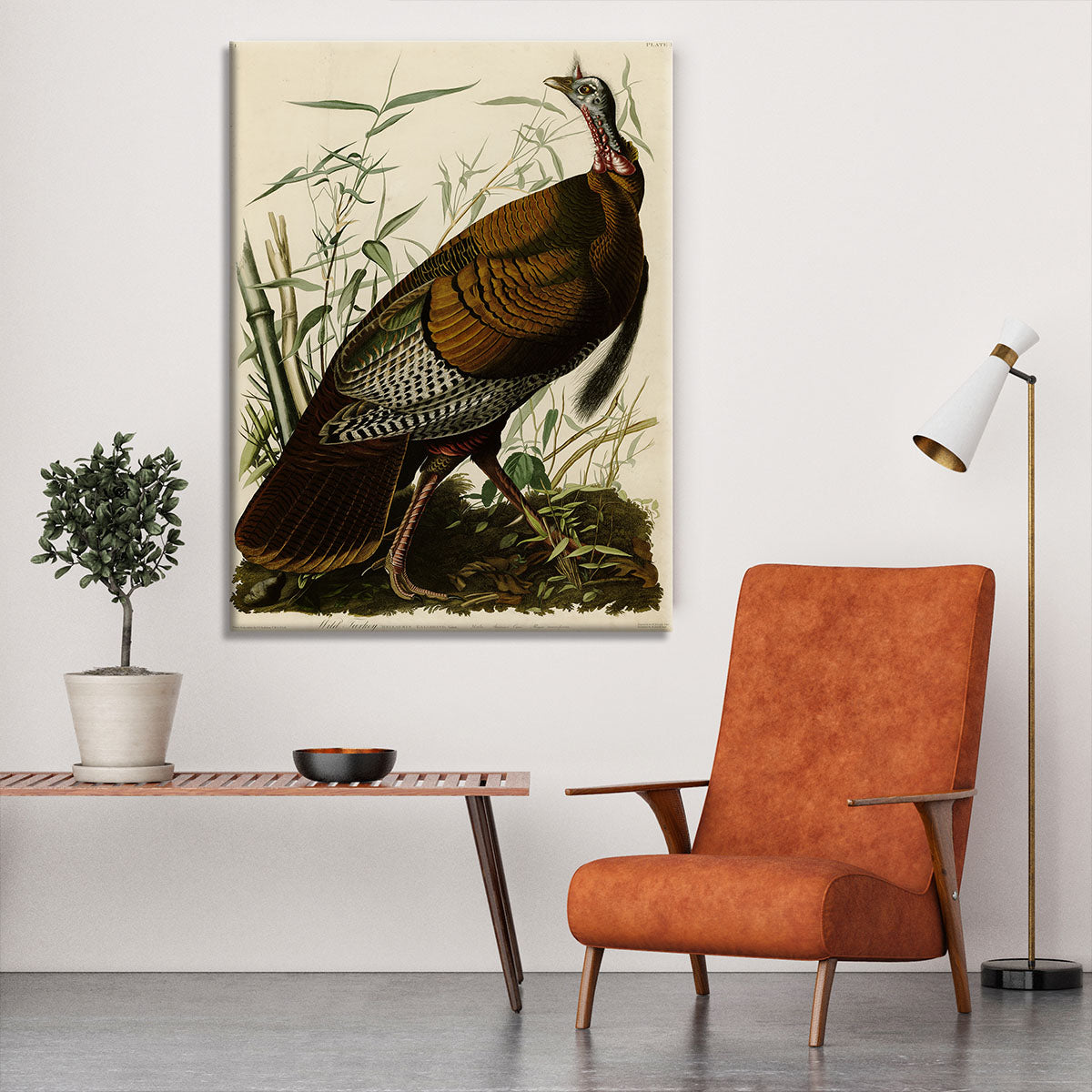 Wild Turkey by Audubon Canvas Print or Poster - Canvas Art Rocks - 6