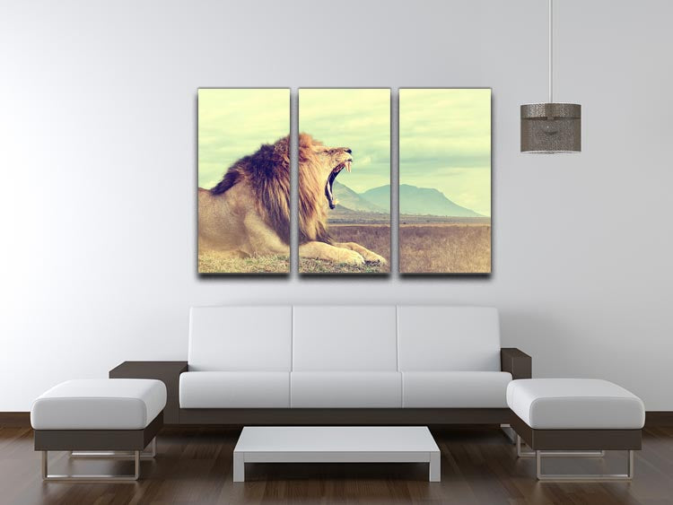 Wild african lion 3 Split Panel Canvas Print - Canvas Art Rocks - 3