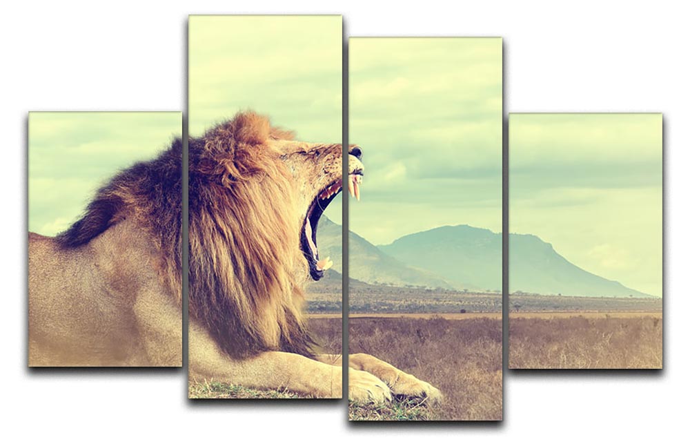 Wild african lion 4 Split Panel Canvas - Canvas Art Rocks - 1