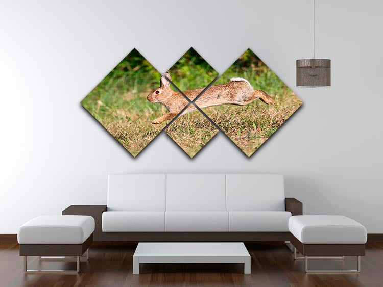 Wild cute rabbit is jumping on meadow 4 Square Multi Panel Canvas - Canvas Art Rocks - 3