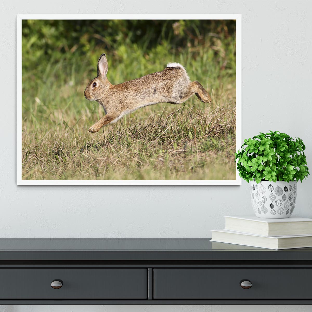 Wild cute rabbit is jumping on meadow Framed Print - Canvas Art Rocks -6
